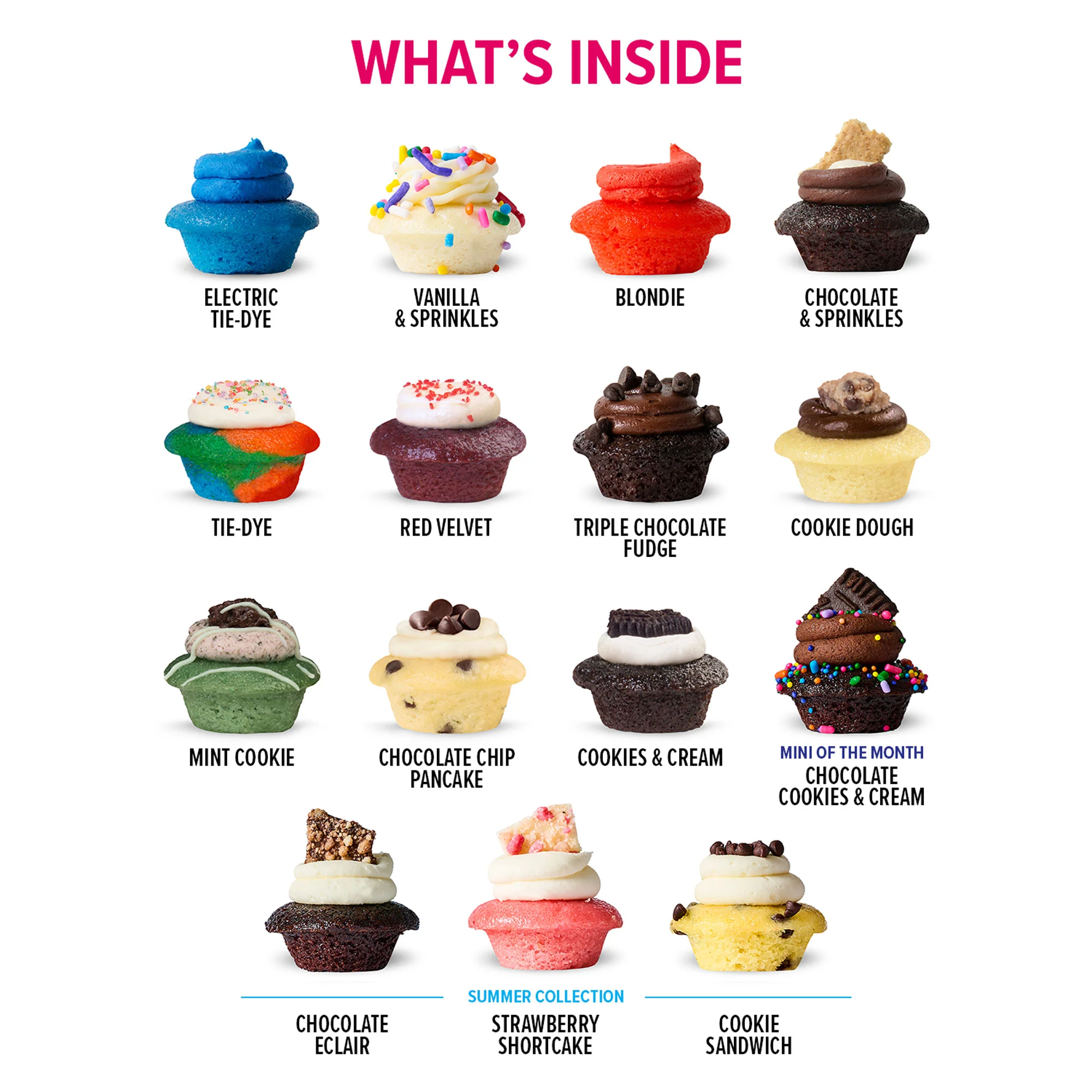 Party In The USA Cupcakes 100-Pack [TEST SYNC]