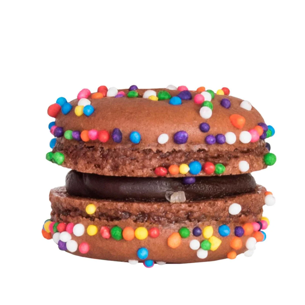 Double Chocolate Macaron